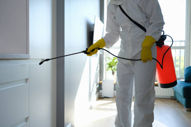 Best Mold Testing  in Vienna, VA