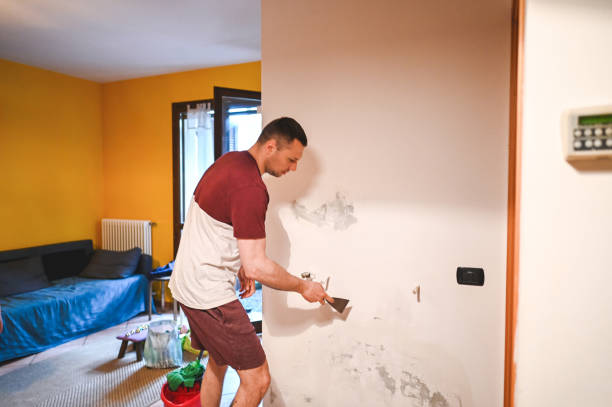 Best Crawl Space Mold Removal  in Vienna, VA